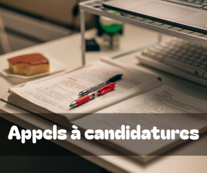 Appel à candidatures : Bourses BIGSAS – DAAD 2026