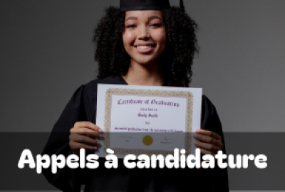 Appel à Candidatures : Programmes Intensifs Blended (BIPs) CIVIS